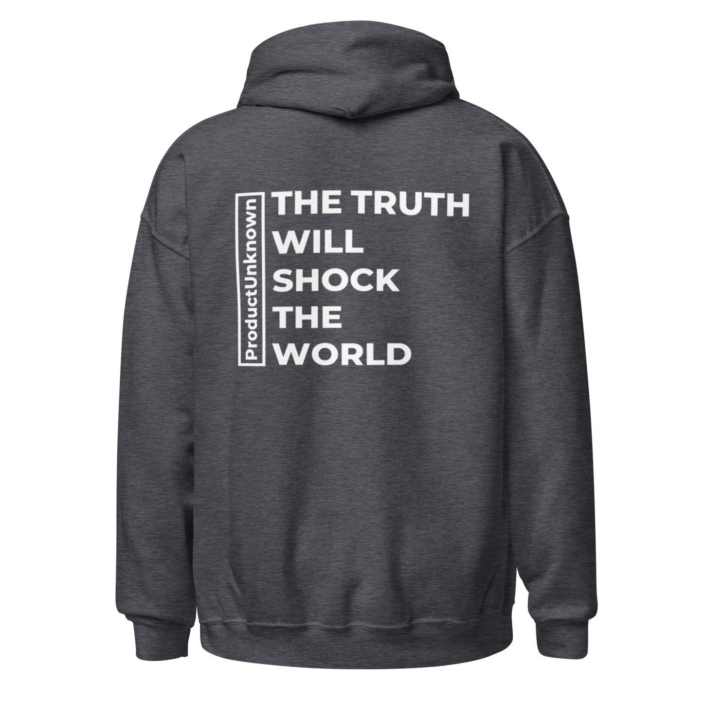 Unisex "THE TRUTH WILL SHOCK THE WORLD" (Rear Print) Hoodie